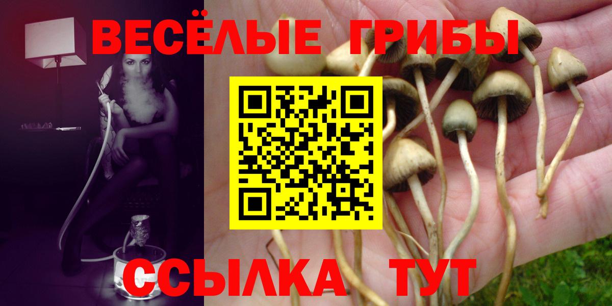 Урюпинск  Псилоцибиновые грибы Psilocybe  Вход с VPN 
